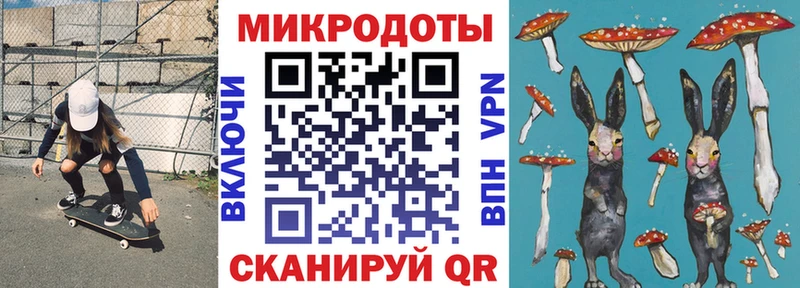 ссылка на мегу зеркало купить наркотик Заинск Псилоцибиновые грибы Cubensis